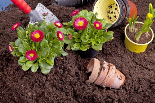 Flower bed creation in Norbiton with layered planting and neat edging