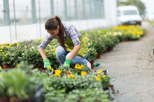 Landscape gardeners in Norbiton designing a garden layout