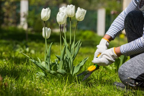 Lawn mowing service for a front garden in Norbiton