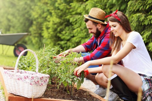 Planning a landscaping project for a Norbiton home garden