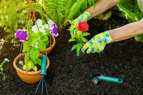 Illustration representing accessibility support for Norbiton landscaping services