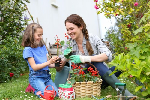 Visual showing local landscaping content with accessible design features