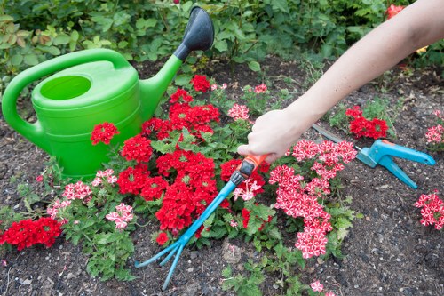 Lawn mowing and border care for Norbiton gardens