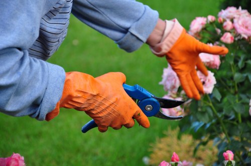 Tree surgeon carrying out lopping work in a Norbiton garden