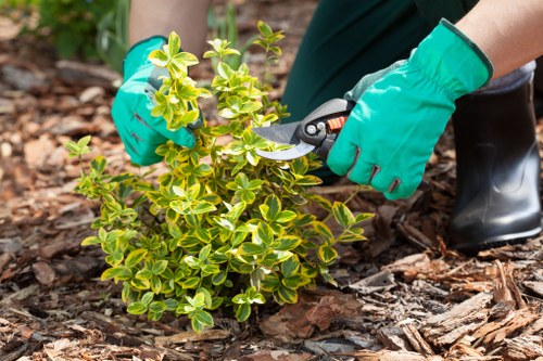 Escalating a landscaping complaint for further review