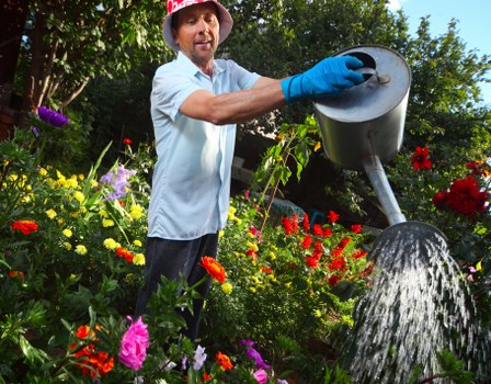 Professional landscapers shaping a balanced outdoor garden