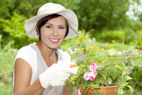 Feeding and watering grass for lawn care in Norbiton