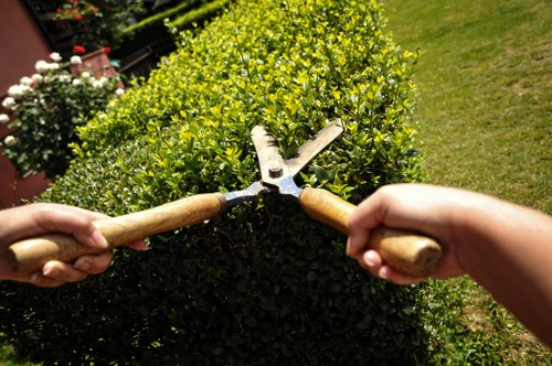 Edging and lawn maintenance for a garden in Norbiton