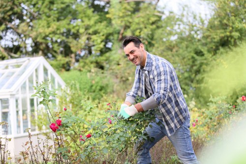 Reviewing a complaint about rubbish removal and outdoor work