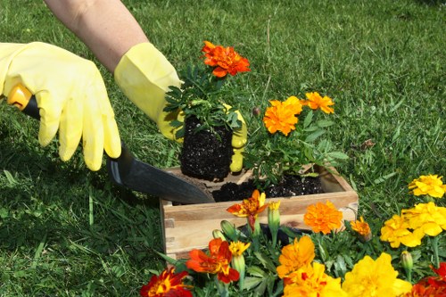 Seasonal planting and low-maintenance garden design in Norbiton