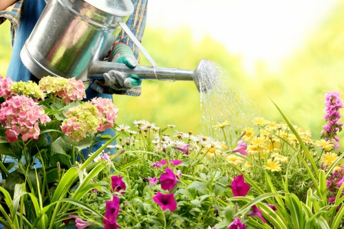 Recycling-focused landscaping clearance supporting local sustainability in Norbiton