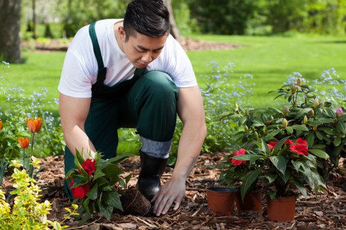 Annual review of modern slavery controls in a landscaping business