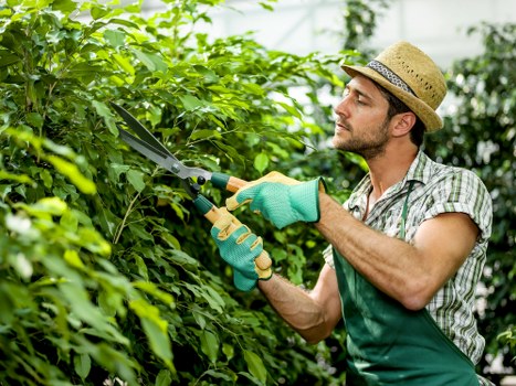 Low-maintenance planting and finishing touches for a Norbiton garden renovation