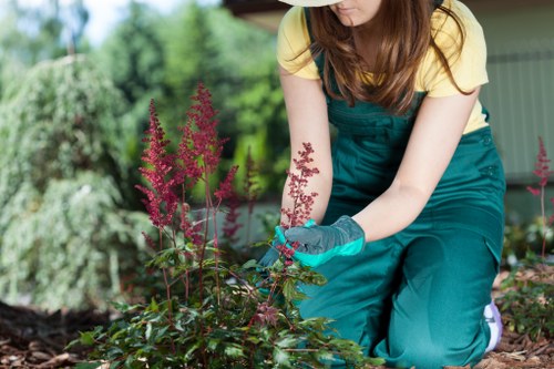 Reporting a landscaping issue with notes and site photos