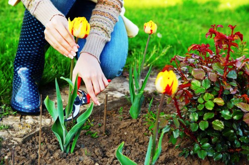 Insured rubbish company completing a careful garden clearance
