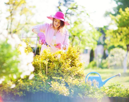 Seasonal lawn maintenance and soil care in Norbiton
