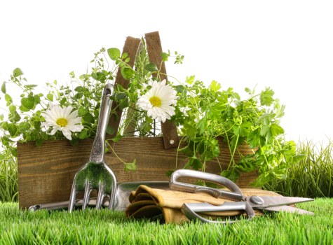Local garden clearance team removing outdoor waste