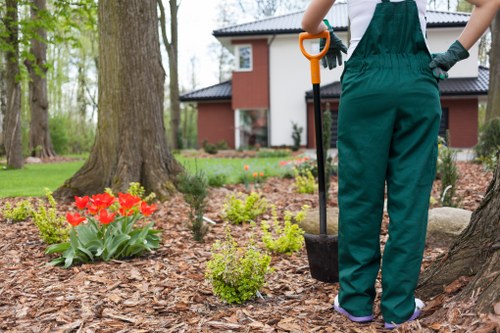 Mowing and trimming a residential lawn in Norbiton