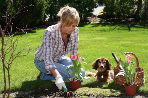 Free quote policy for Landscapers Norbiton pricing page